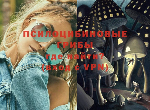 PSILOCYBIN Алексеевка