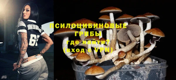 марихуана Абаза
