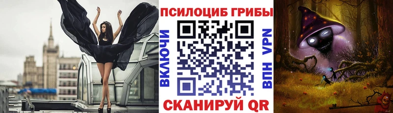 что такое наркотик Юхнов Псилоцибиновые грибы MAGIC MUSHROOMS